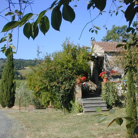 Piccolo Sole Villa Montescudaio Luaran gambar