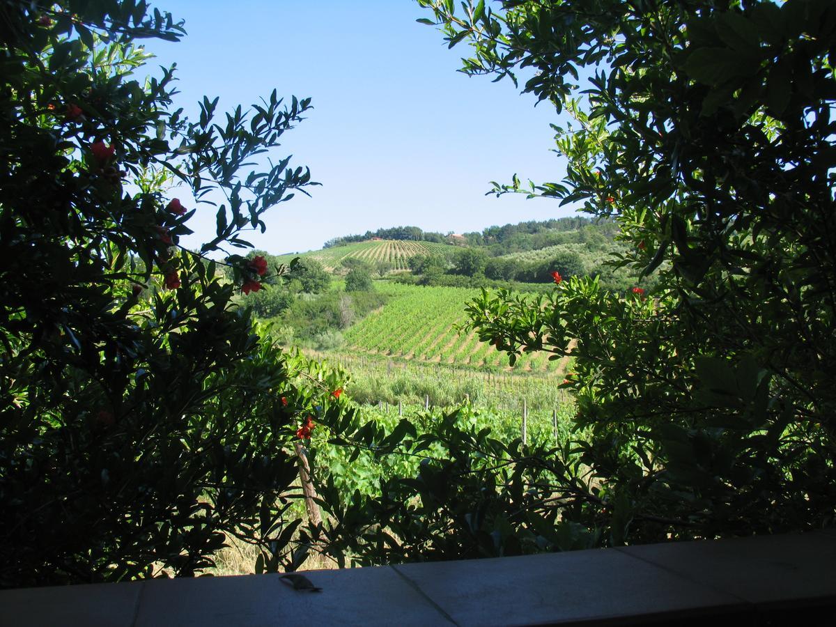 Piccolo Sole Villa Montescudaio Luaran gambar