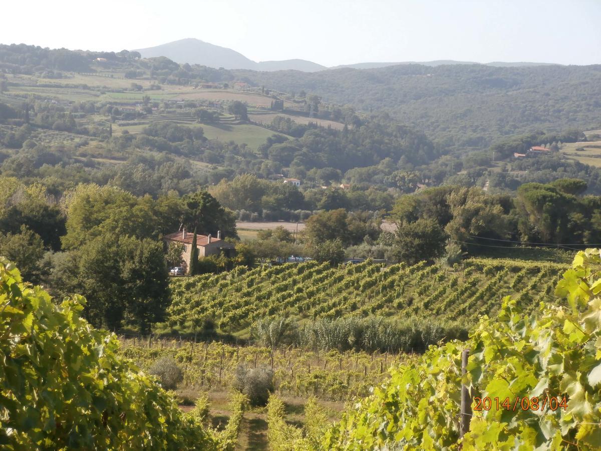 Piccolo Sole Villa Montescudaio Luaran gambar