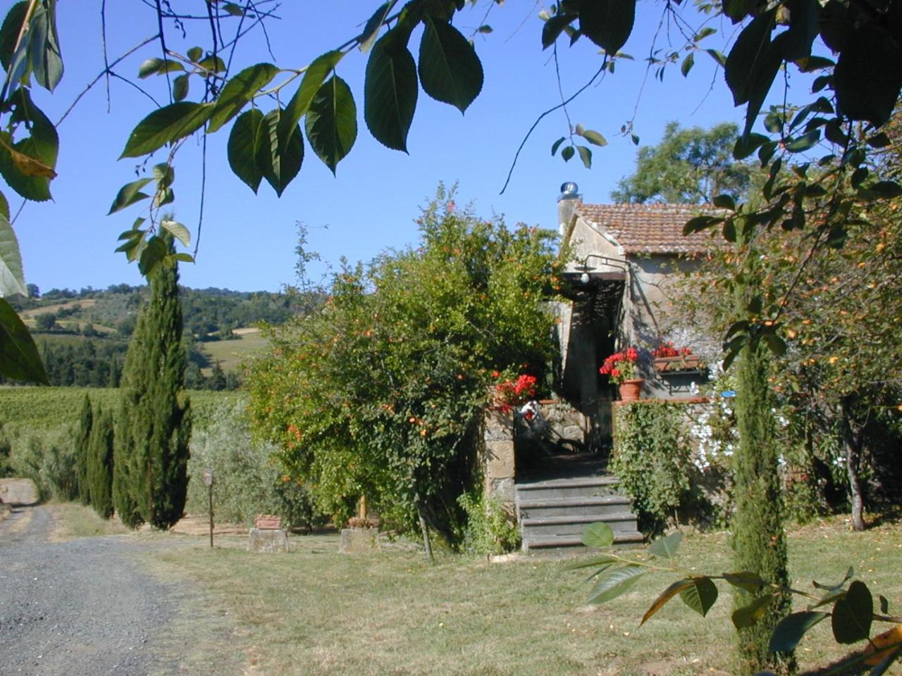Piccolo Sole Villa Montescudaio Luaran gambar