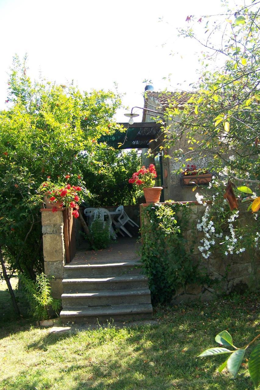 Piccolo Sole Villa Montescudaio Luaran gambar